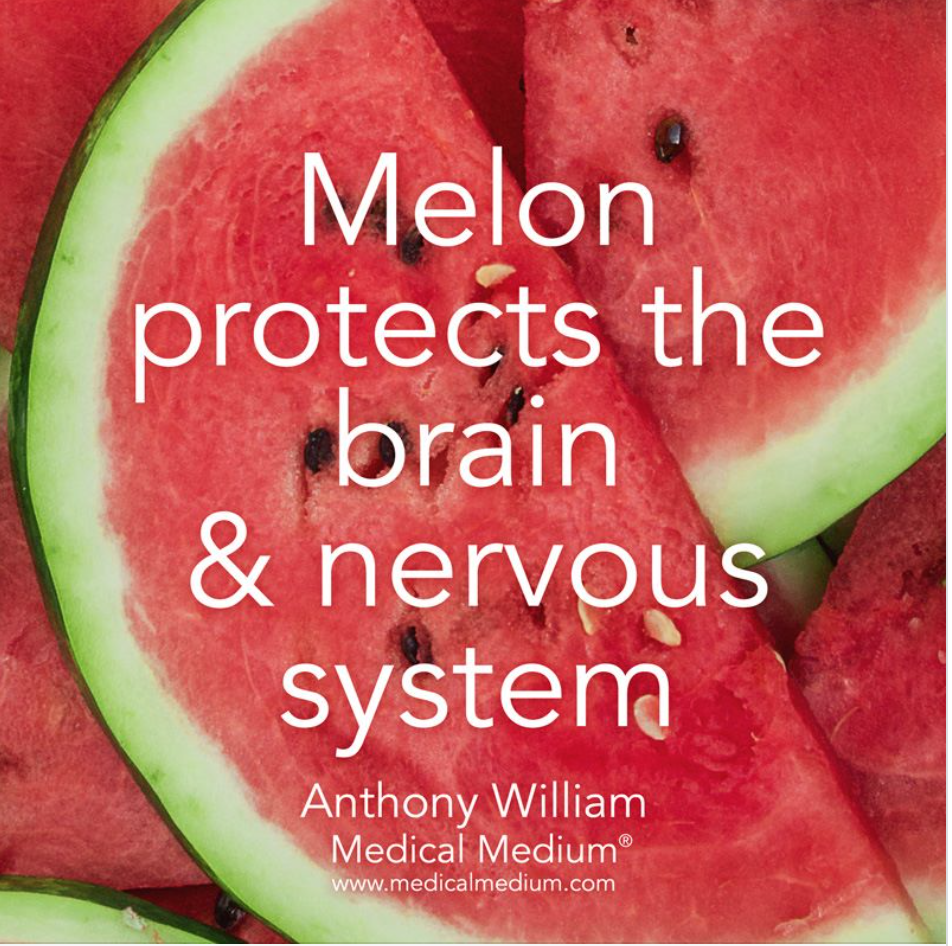 Melon protects brain and nervous system.png
