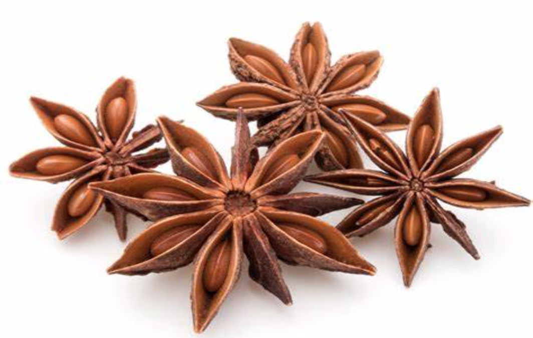 star anise 1.png