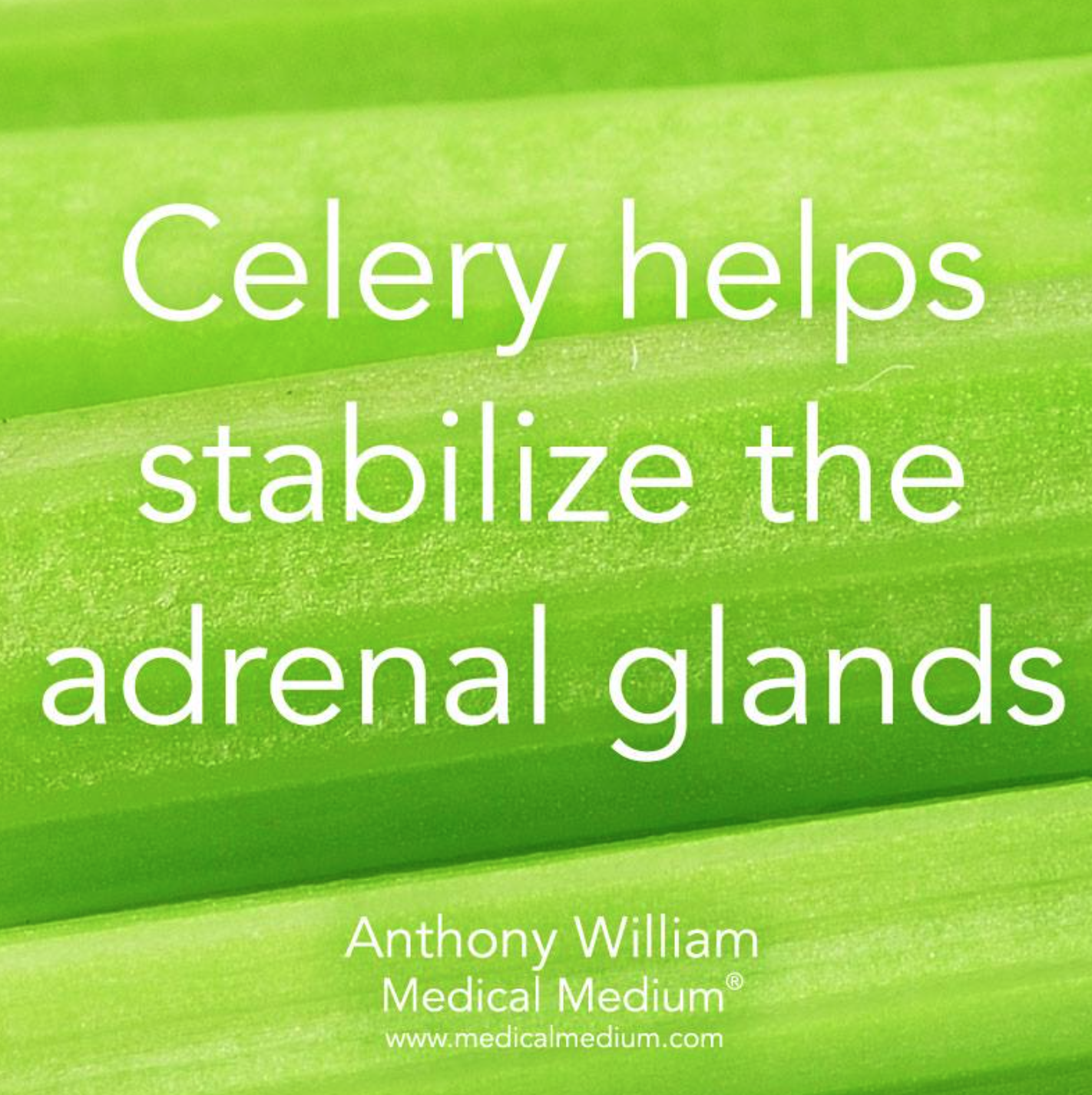 celery juice adrenal gland.png
